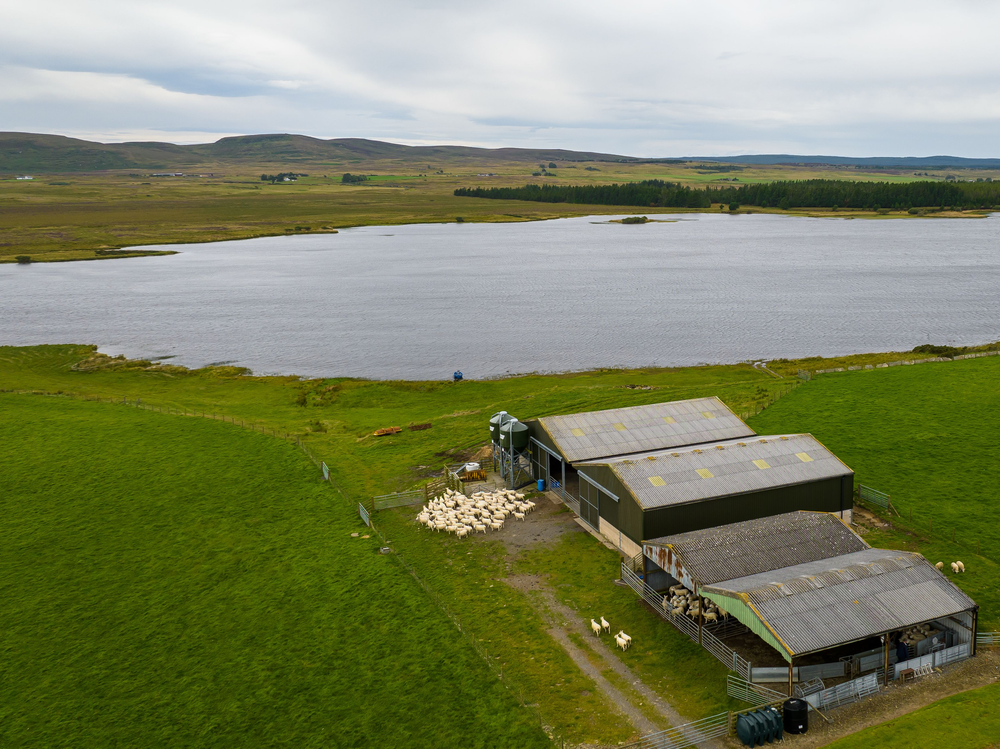 We're a highly experienced and multidisciplined chartered rural